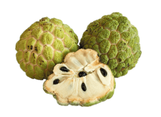 Custard Apple Description