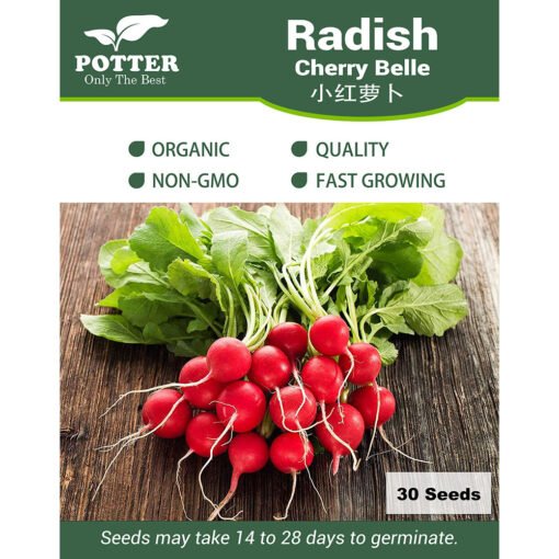 Radish seeds