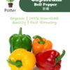 Capsicum Bell Pepper