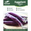 Chinese Eggplant