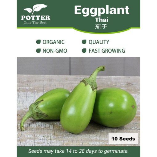 Thai Eggplant seeds