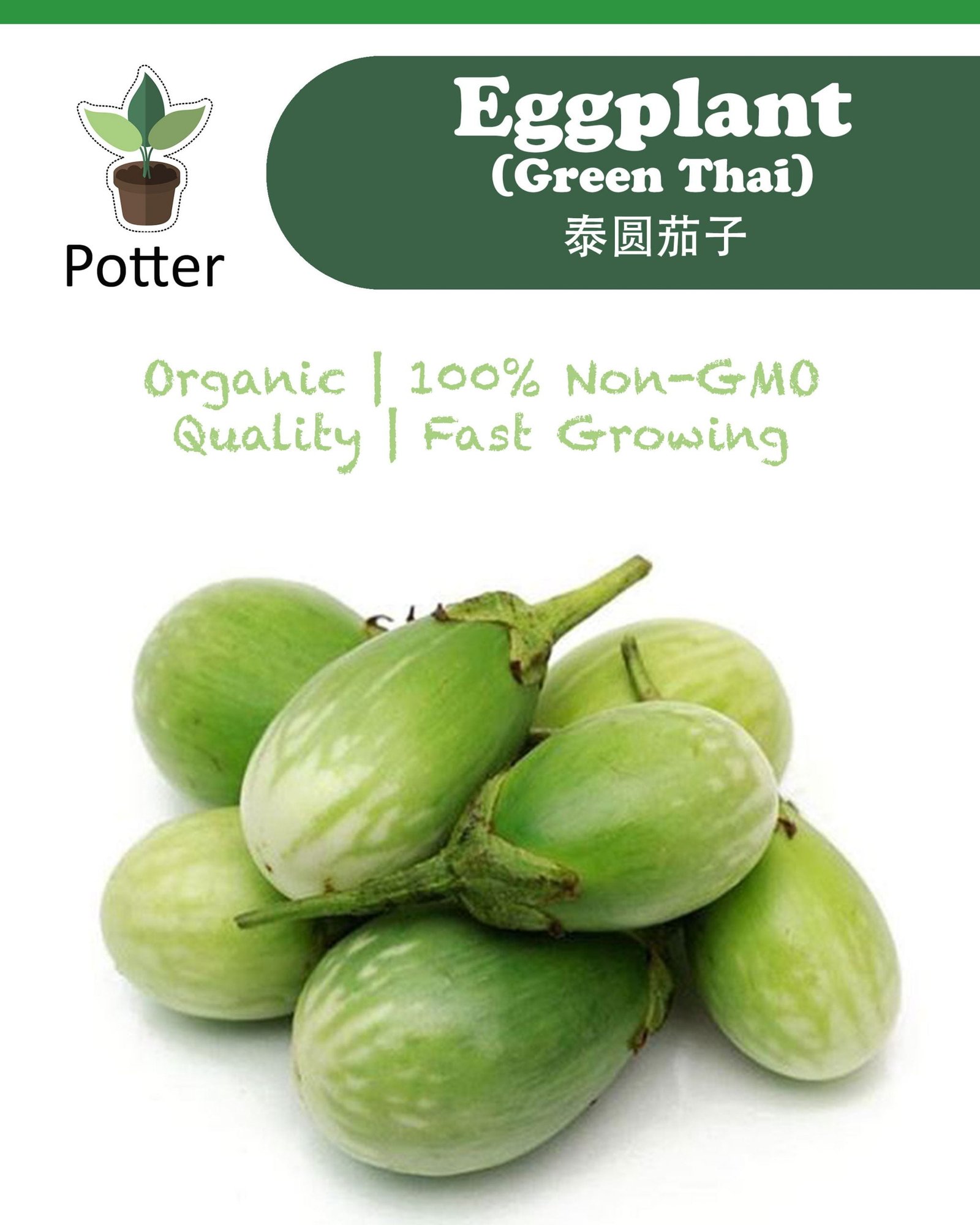 Green Thai Eggplant – Sierra Flora