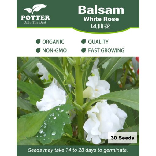 Balsam seeds