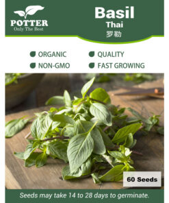 Thai Basil herb seeds
