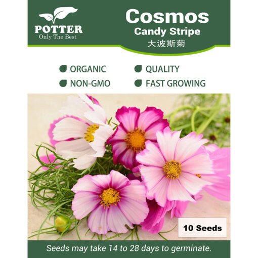 Cosmos seeds