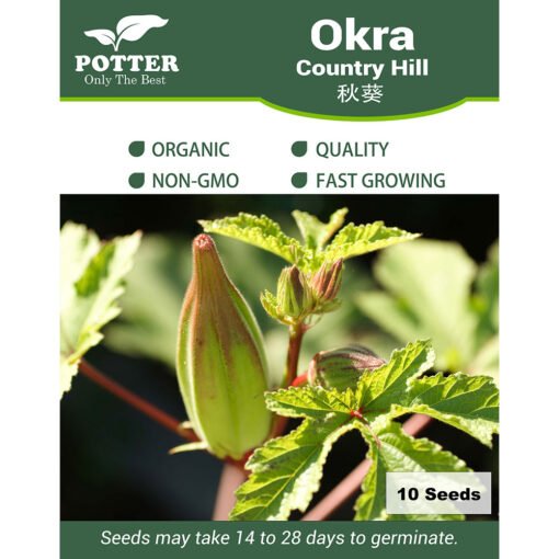Okra Country Hill seeds