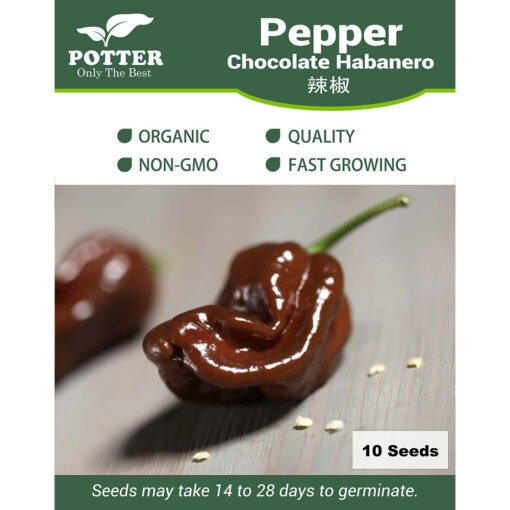 Chocolate Habanero Chili Pepper seeds