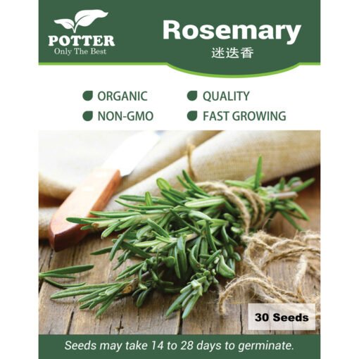 Rosemary herb seeds