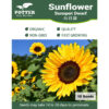 Sunflower sunspot flower seeds