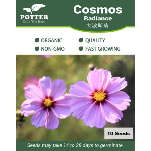 Cosmos Radiance flower seeds