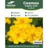 Cosmos flower seeds