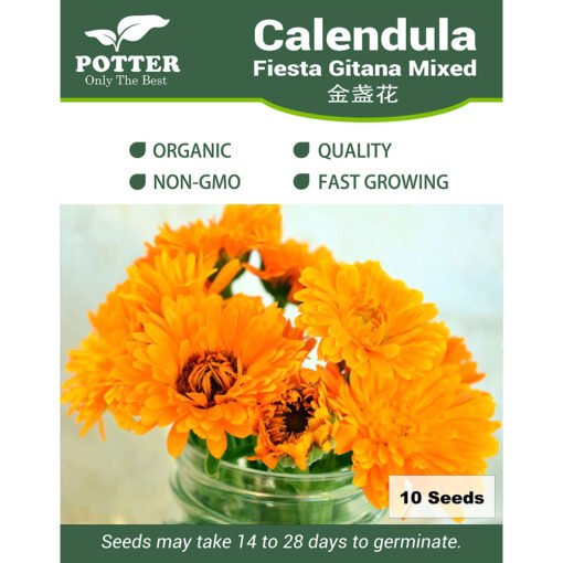 Calendula flower seeds