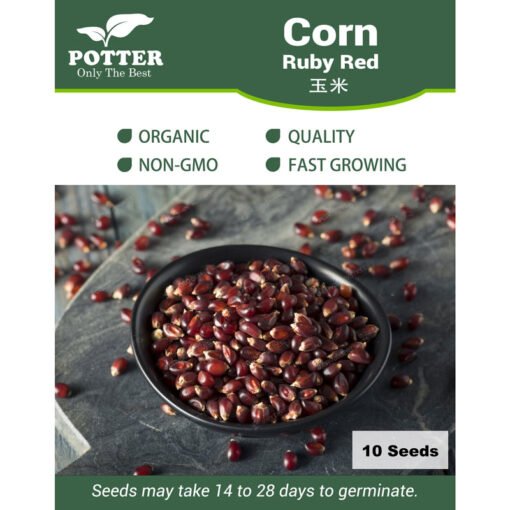 Ruby Red Corn seeds