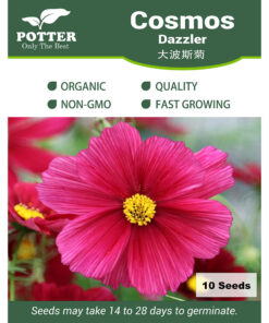 Cosmos Dazzler flower seeds