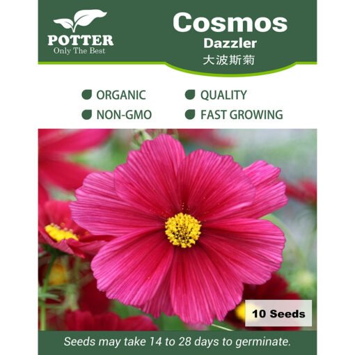 Cosmos Dazzler flower seeds