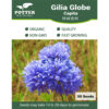 Gilia Globe