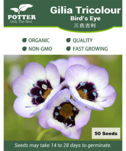 Gilia Tricolour