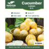 Cucumber seeds