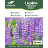 Lupine seeds