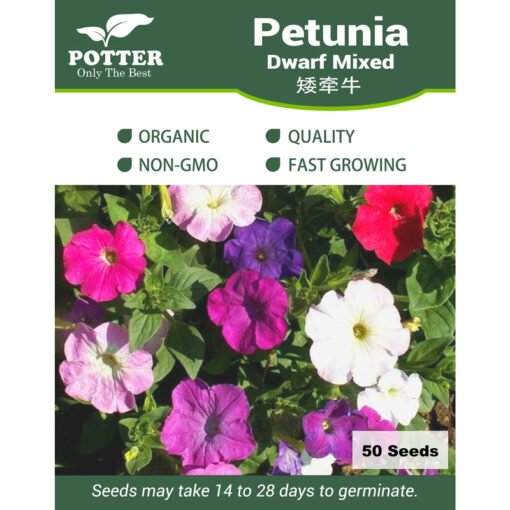 Petunia flower seeds