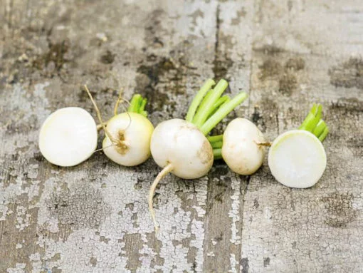 Radish Hailstone seeds - Image 2