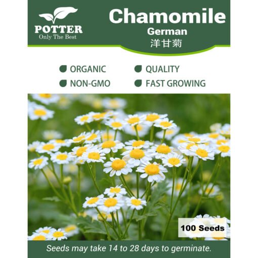 Chamomile seeds