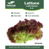 Lollo Lettuce