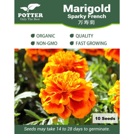 Marigold Sparky French flower seeds