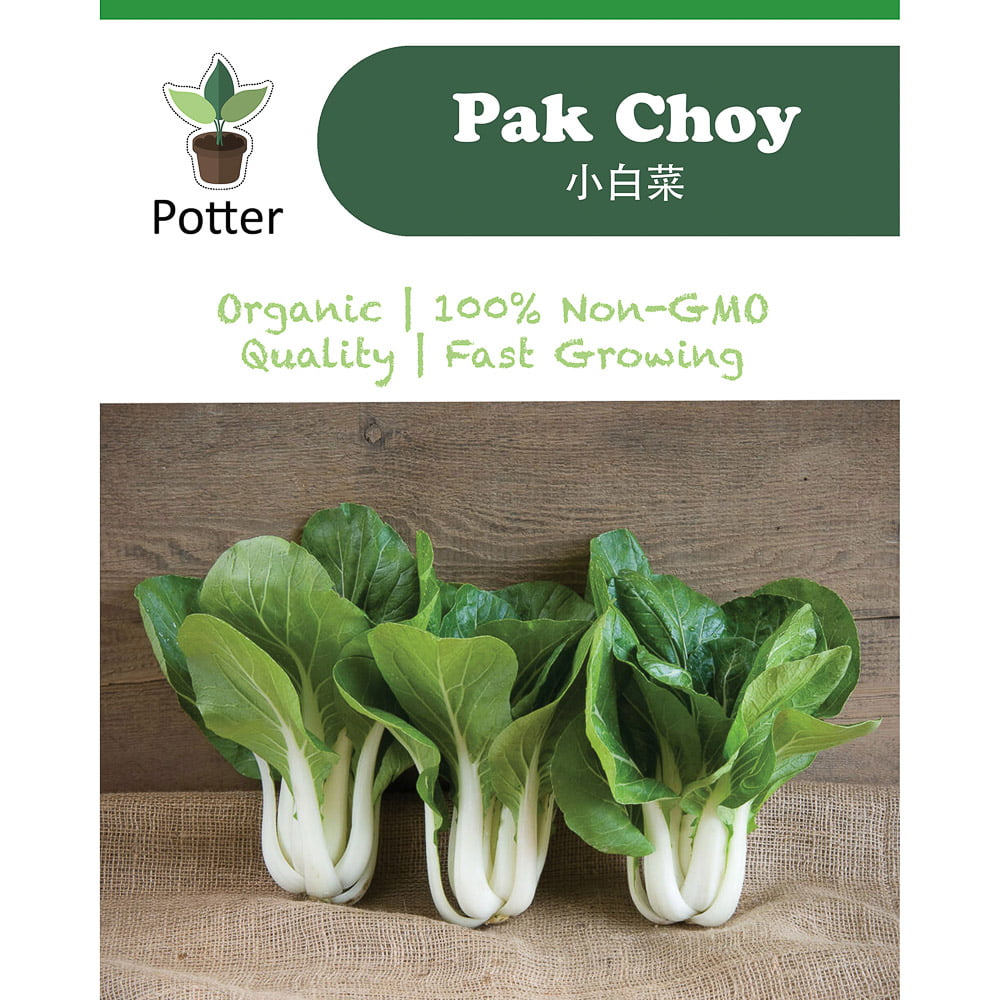 Bok Choy Pak Choy seeds - Sierra Flora