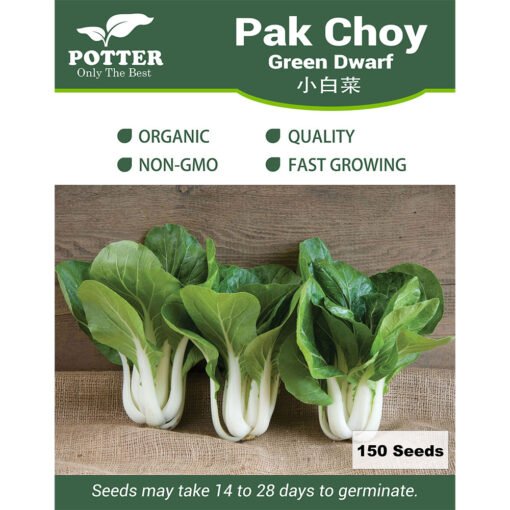 Pak Choy vegetable seeds