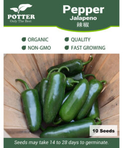 Jalapeno pepper seeds