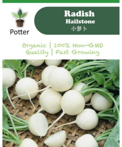 Radish Hailstone seeds