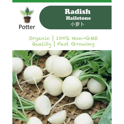 Radish Hailstone seeds