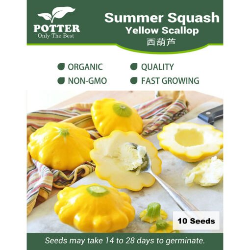 Summer Squash seeds