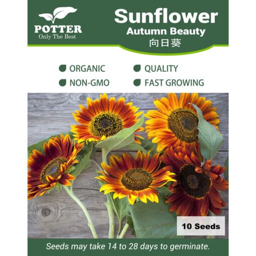 Autumn Beauty sunflower seeds