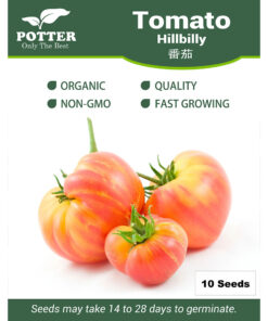 Hillbilly Tomato seeds