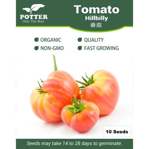 Hillbilly Tomato seeds