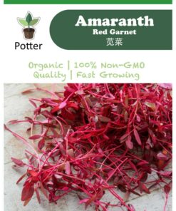 Amaranth Red Garnet seeds