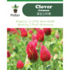 crimson clover