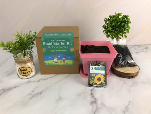 Sunflower Seed Starter Kit