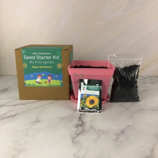 Sunflower Seed Starter Kit