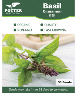 Basil Cinnamon herb seeds