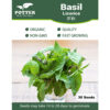 Licorice Basil herb seeds