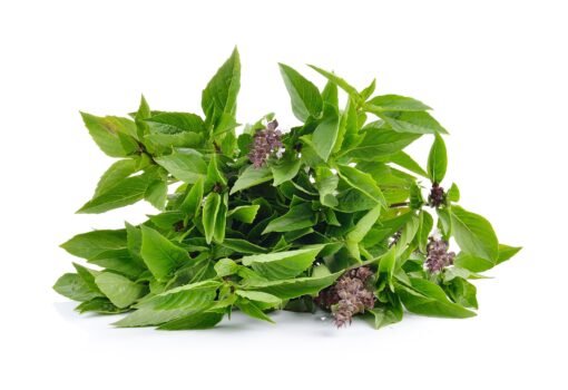 Basil siam queen herb seeds