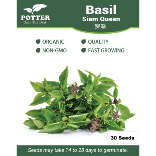 Basil siam queen herb seeds