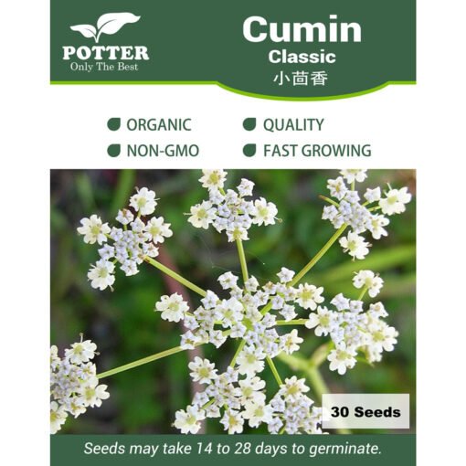 Cumin Classic herb seeds
