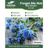 Forget Me Not seeds
