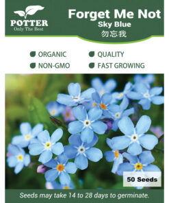 Forget Me Not seeds