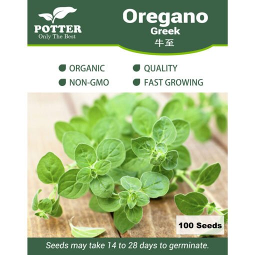 Greek Oregano Herb seeds