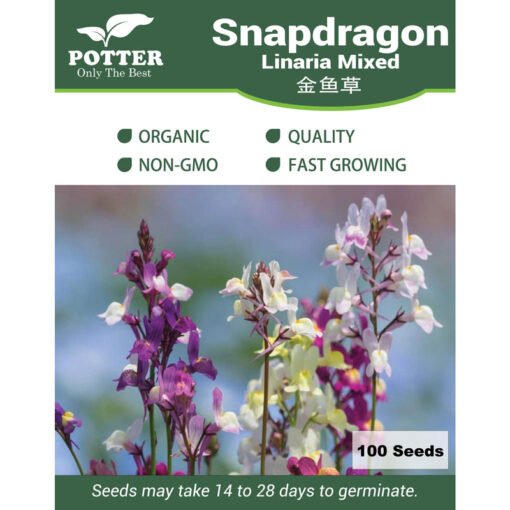 Snapdragon Linaria seeds